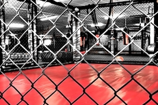 MMA cage