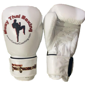 Muay Thai Boxing gloves
