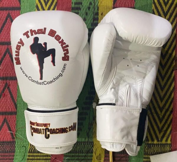 Muay Thai Boxing gloves - Image 3