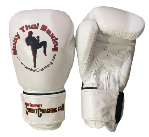 Muay Thai Boxing gloves