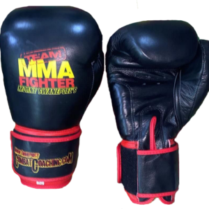 Muay Thai Boxing gloves