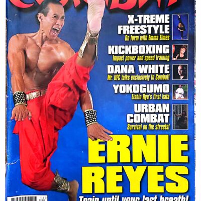 Street combative article_Page_1